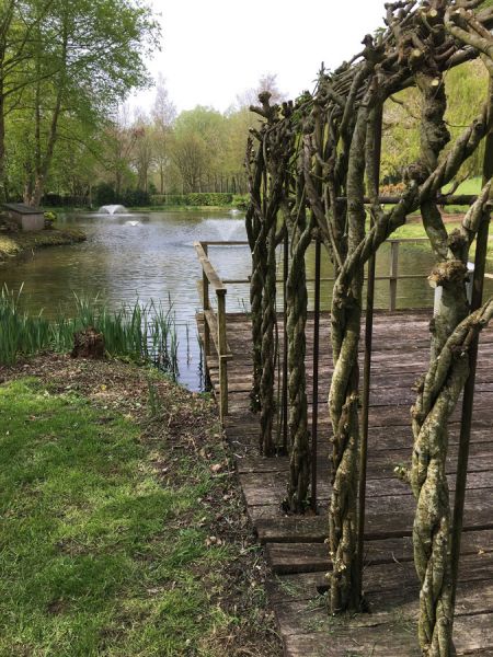 114 bespoke living willow house and pond 114 bespoke living willow house and pond