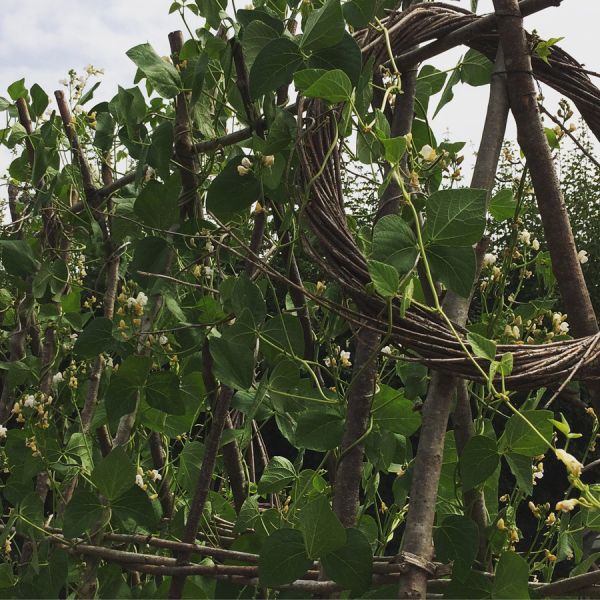 119 bespoke bean support home 119 bespoke bean support home