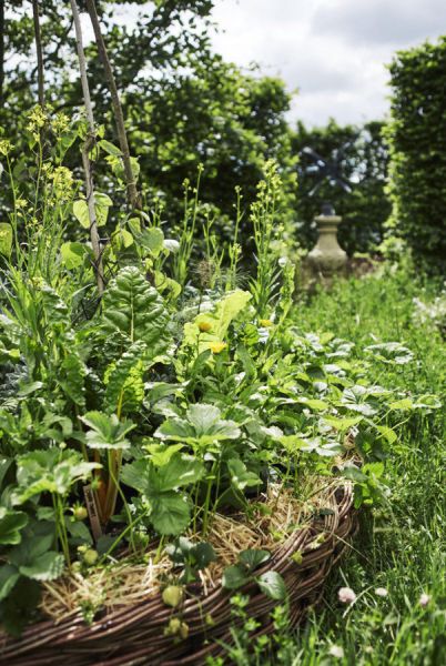 121 belmond enchanted gardens 2017 0632x1200 121 belmond enchanted gardens 2017 0632x1200