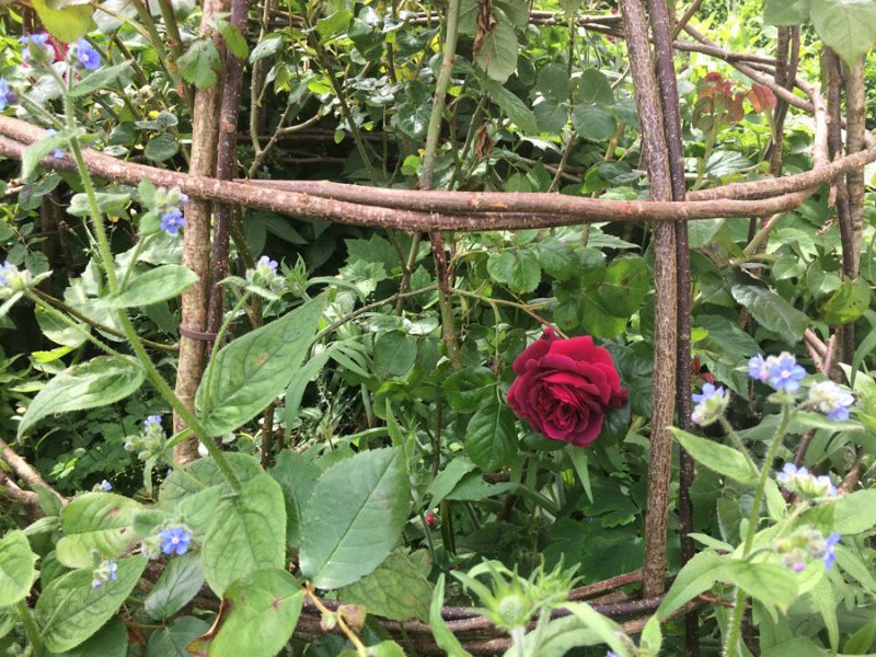 129 bespoke willow cloche close up 129 bespoke willow cloche close up