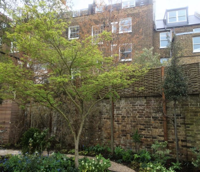 bespoke hurdles bespoke hurdles