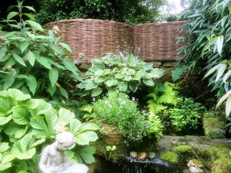 cornwall screens in summer cornwall screens in summer