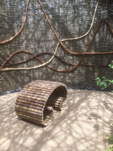 hcvoluta shadow hcvoluta shadow