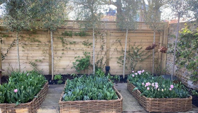 raised beds bw raised beds bw