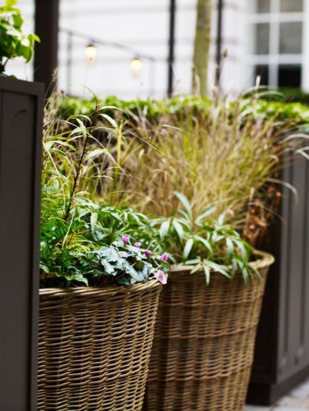 rosewood baskets resized rosewood baskets resized