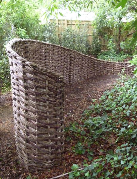 ascot insitu curl ascot insitu curl