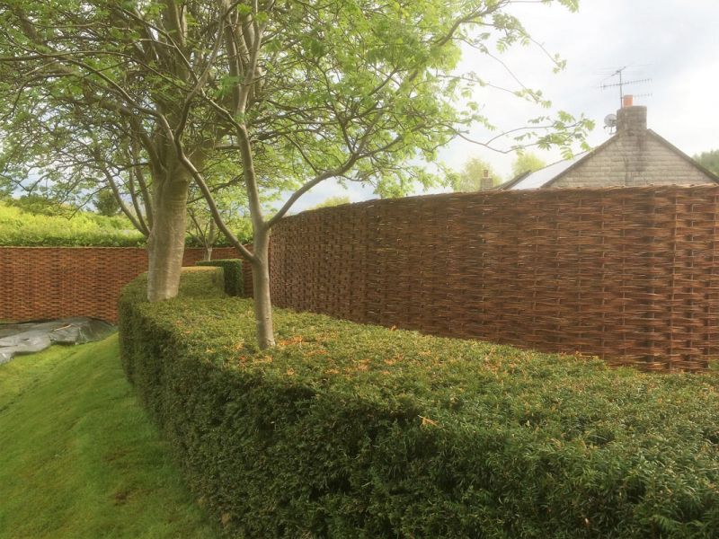 curved insitu curved insitu