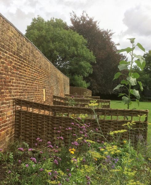 insitu border dividers insitu border dividers