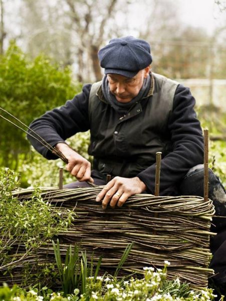 insitu willow weaving for hg insitu  insitu willow weaving for hg insitu