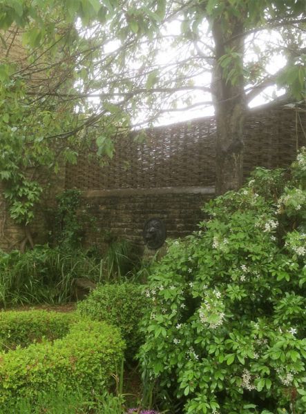 insitu with greenery insitu with greenery