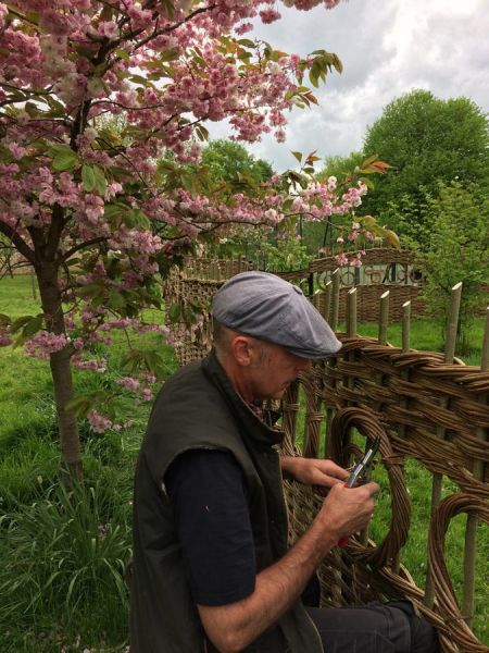 jay chicken enclosure blossoms jay chicken enclosure blossoms