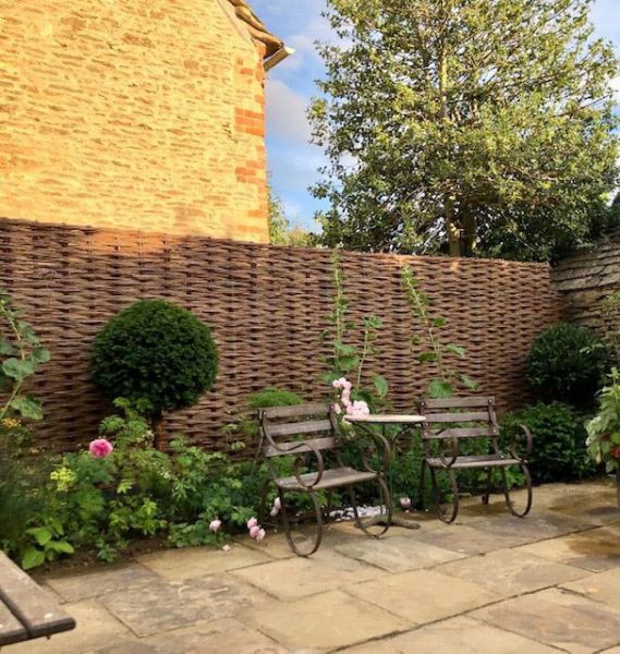 oct 2020 insitu willow jjmackie oct 2020 insitu willow jjmackie