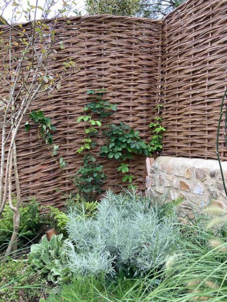 oct 2020 04 insitu lyme regis oct 2020 04 insitu lyme regis