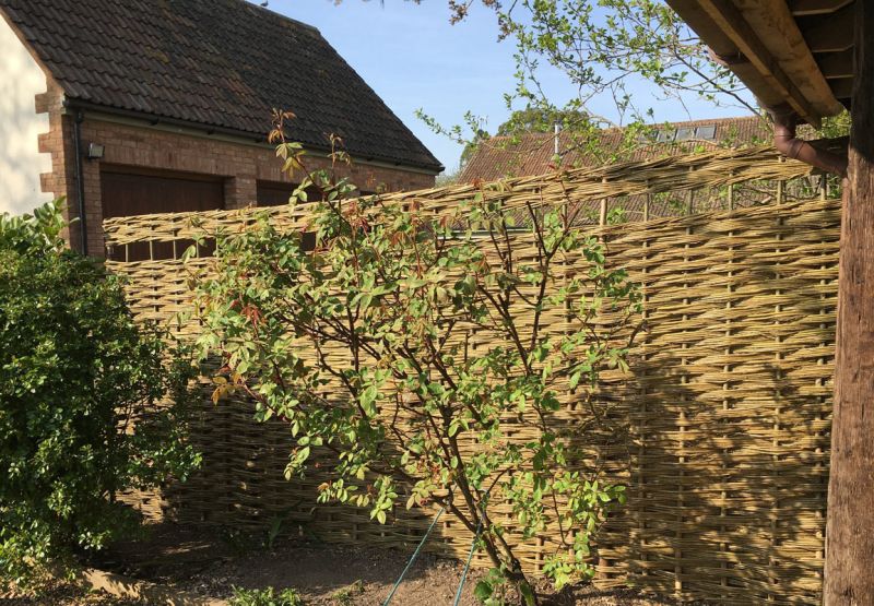 oct020 11 img 3207 oct020 11 img 3207