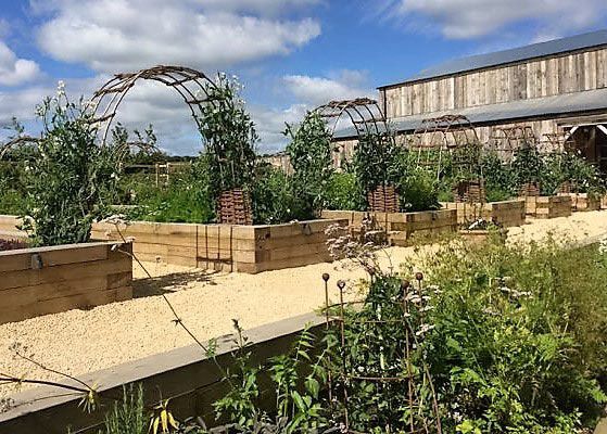 soho farm 3 july soho farm 3 july