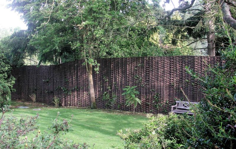 tall insitu tall insitu