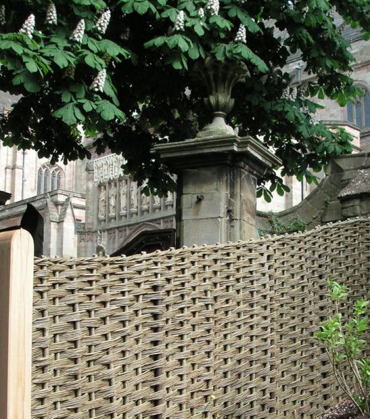 worcester cropped worcester cropped